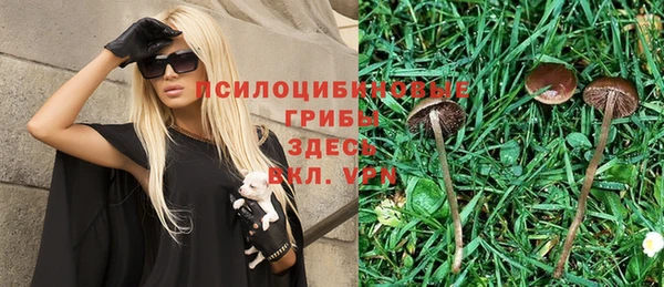 твердый Инсар
