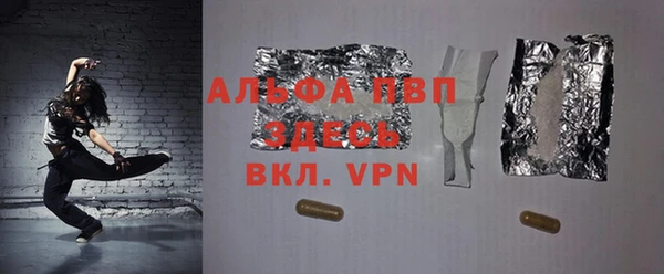 твердый Инсар