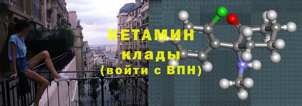 твердый Инсар