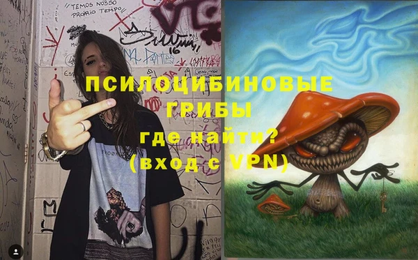 соль ск Инта