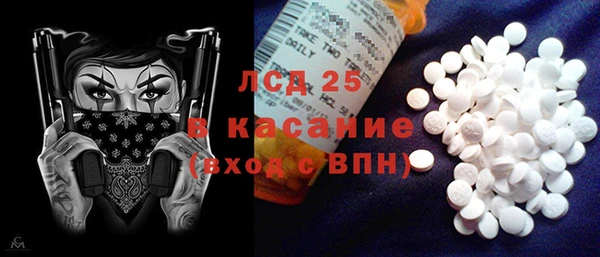 твердый Инсар