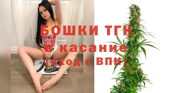 твердый Инсар