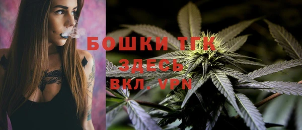 твердый Инсар