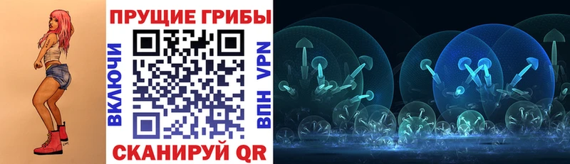 купить   Себеж  mega ONION  Галлюциногенные грибы Psilocybe 